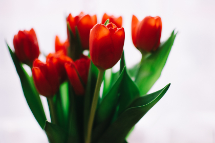 0857贵宾会活动回顾:精彩瞬间与难忘回忆的分享 0857贵宾会活动回顾:精彩瞬间与难忘回忆的分享