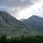 196体育平台官网的优势分析:为何选择我们进行体育投注 qhhmzzefnp