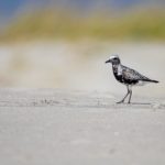 00118期大乐透开奖结果公布,大奖花落谁家? 5152cpq