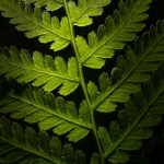 008期开奖结果公布,幸运号码震撼揭晓 vqzkj6